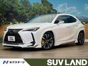 2018 LEXUS UX