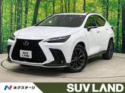 2022 LEXUS NX