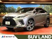 2019 LEXUS RX