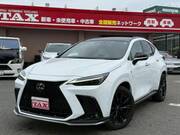2022 LEXUS NX