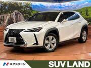 2019 LEXUS UX
