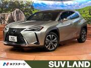 2019 LEXUS UX
