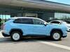 MITSUOKA OTHER