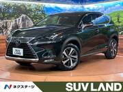 2018 LEXUS NX