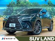 2023 LEXUS NX