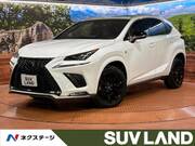 2018 LEXUS NX