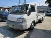 MITSUBISHI DELICA TRUCK