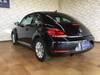 VOLKSWAGEN THE BEETLE