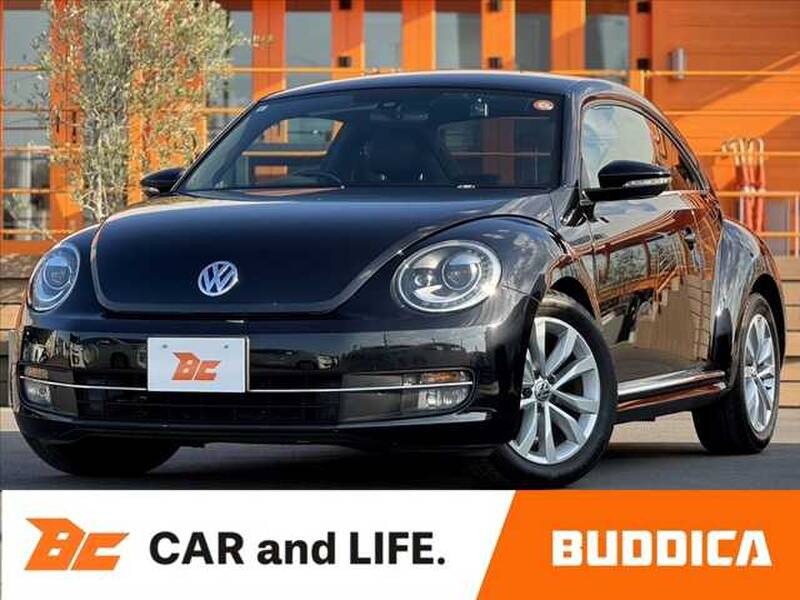 -THE BEETLE