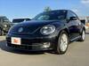 VOLKSWAGEN THE BEETLE