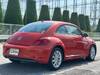 VOLKSWAGEN THE BEETLE