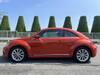 VOLKSWAGEN THE BEETLE