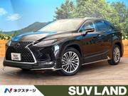 2019 LEXUS RX