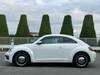VOLKSWAGEN THE BEETLE