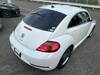VOLKSWAGEN THE BEETLE