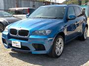 2010 BMW X5 M