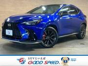 2021 LEXUS NX