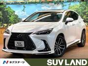 2024 LEXUS NX