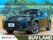 2020 LEXUS UX