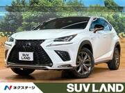 2019 LEXUS NX