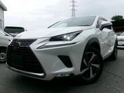 2018 LEXUS NX