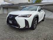 2019 LEXUS UX