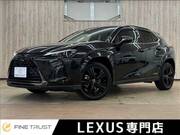 2021 LEXUS UX