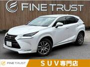 2014 LEXUS NX