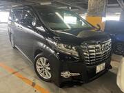 2016 TOYOTA ALPHARD
