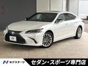 2019 LEXUS ES