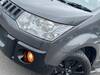 MITSUBISHI OTHER
