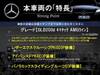 MERCEDES BENZ OTHER