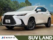 2025 LEXUS NX