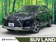 2021 LEXUS RX