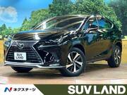 2020 LEXUS NX