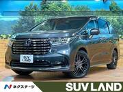 2024 HONDA OTHER