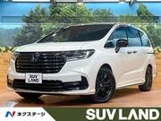 2024 HONDA OTHER