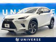 2019 LEXUS NX