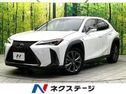 2019 LEXUS UX