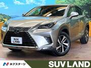 2020 LEXUS NX