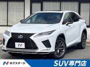 2019 LEXUS RX