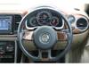VOLKSWAGEN THE BEETLE