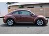 VOLKSWAGEN THE BEETLE