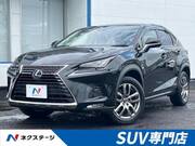 2021 LEXUS NX