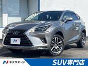 2018 LEXUS NX