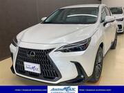 2024 LEXUS NX
