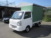 2019 SUZUKI CARRY TRUCK