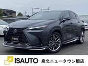 2024 LEXUS NX