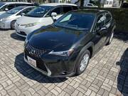 2020 LEXUS UX