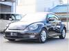 VOLKSWAGEN THE BEETLE